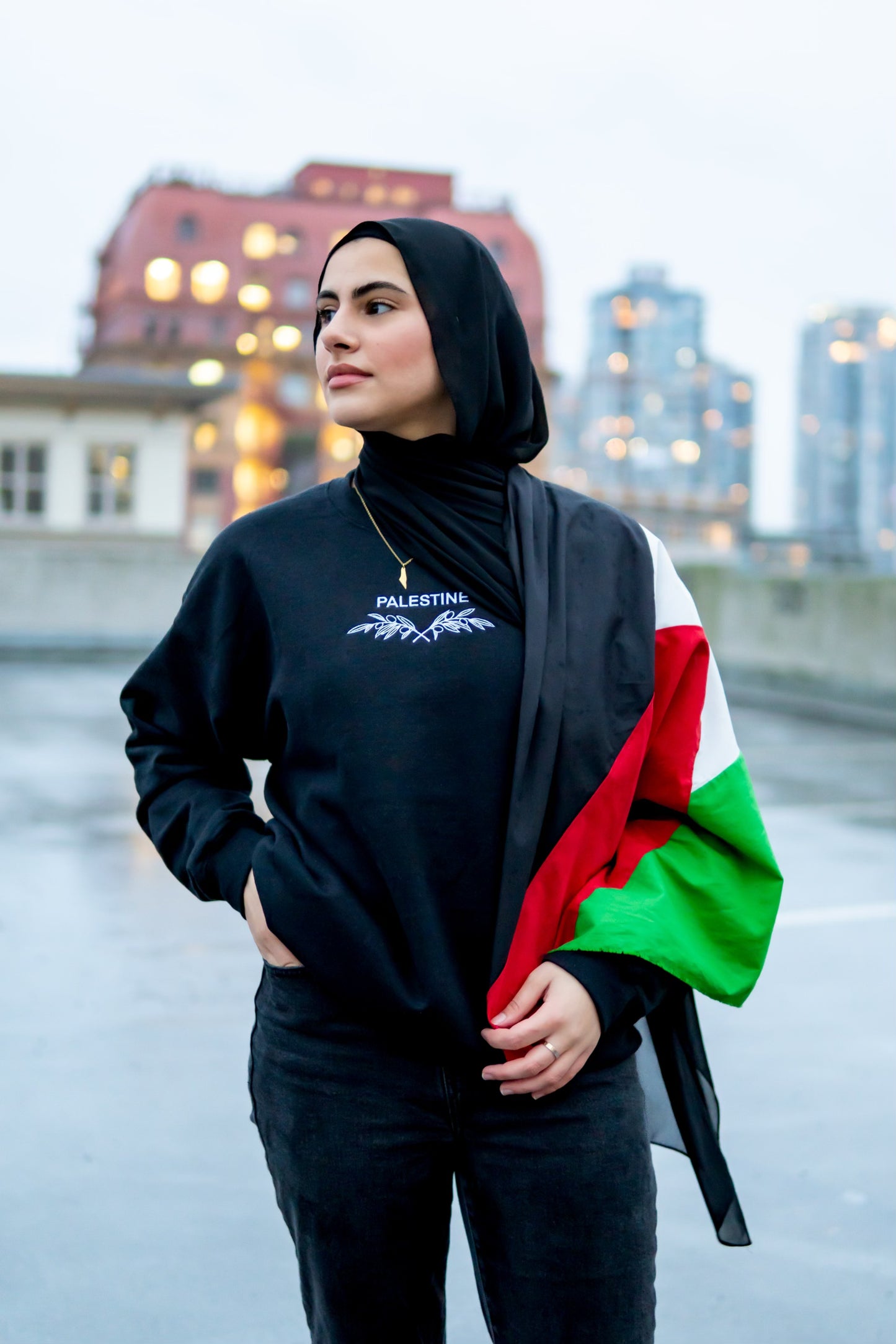 Palestine Embroidered Sweatshirt