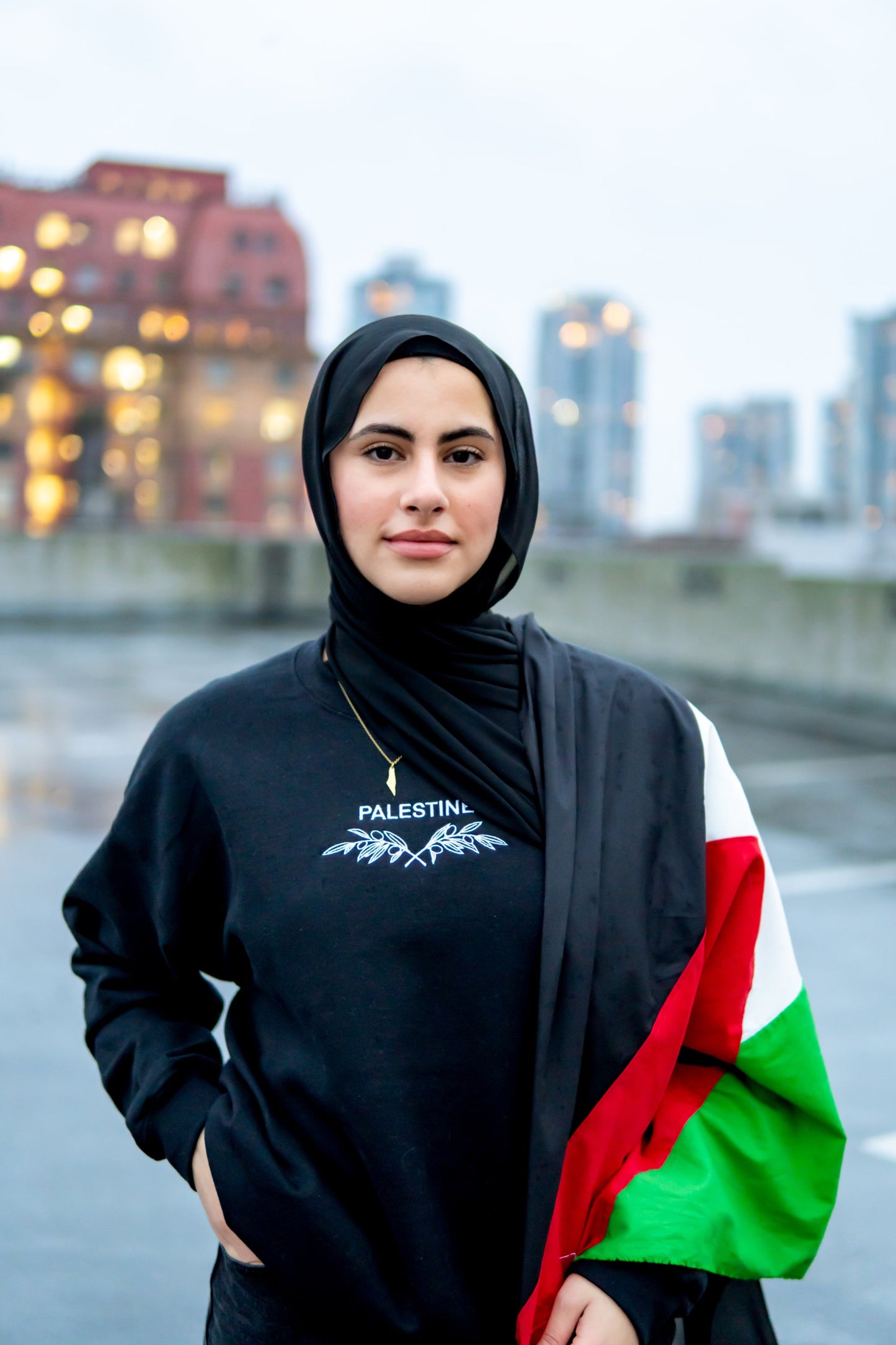 Palestine Embroidered Sweatshirt