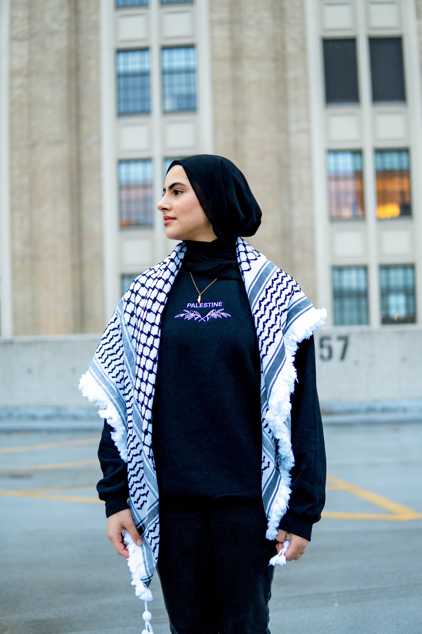 Palestine Embroidered Sweatshirt